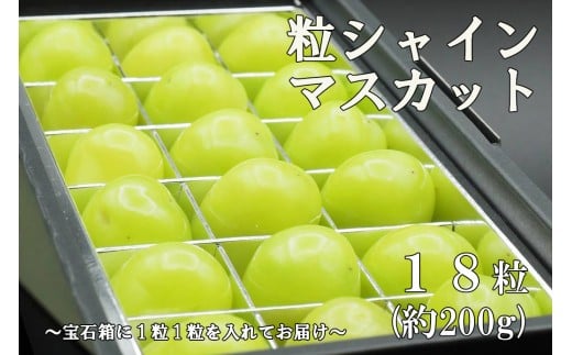 【令和7年度先行予約】《厳選・宝石箱》シャインマスカットひと口BOX(18粒入り・約200g)　シャイン マスカット ぶどう 葡萄 ブドウ 房なし 粒シャイン 粒のみ 粒だけ くだもの 果物 フルーツ 山梨 やまなし 富士川町