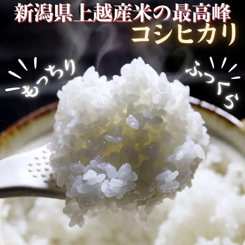 令和8年産 先行予約 新潟県上越市産コシヒカリ 5kg×3回 定期便