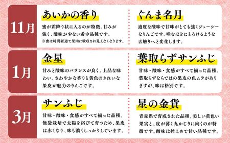 【11月発送開始】隔月配送　定期便3回　訳あり　家庭用　甚八りんご　３kg　【青森県 平川市 マルジンサンアップル】1月 3月 5月 7月 9月 11月 青森 青森県産 平川 りんご リンゴ 林檎 く
