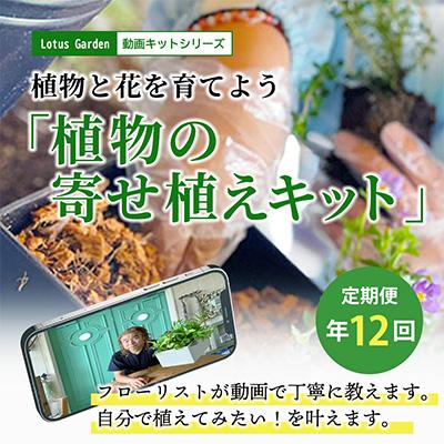 ふるさと納税 酒田市 【発送月固定定期便】植物と花を育てるキットの定期便「植物の寄せ植えキット」全12回