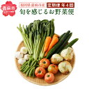 【ふるさと納税】旬を感じるお野菜 定期便 年4回 ほうれん草 スナックエンドウ わらび きゅうり トマト ピーマン 里芋 小松菜 ブロッコリー 白菜 冷蔵 詰め合わせ セット 国産 九州産 福岡産 送料無料