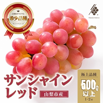 
                  ＜2026年発送＞ サンシャインレッド 1房～2房 (500g以上) 山梨県オリジナル品種【1670107】
                