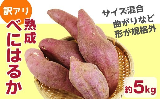 《先行予約》【訳アリ】形に訳あり 臼杵市野津町産 さつまいも べにはるか 5kg