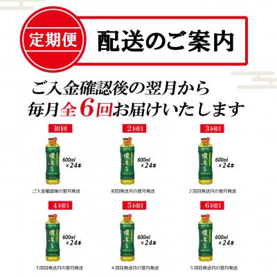 ふるさと納税 富士市 [定期便6回]お〜いお茶濃い茶PET600ml(1910) |  | 01