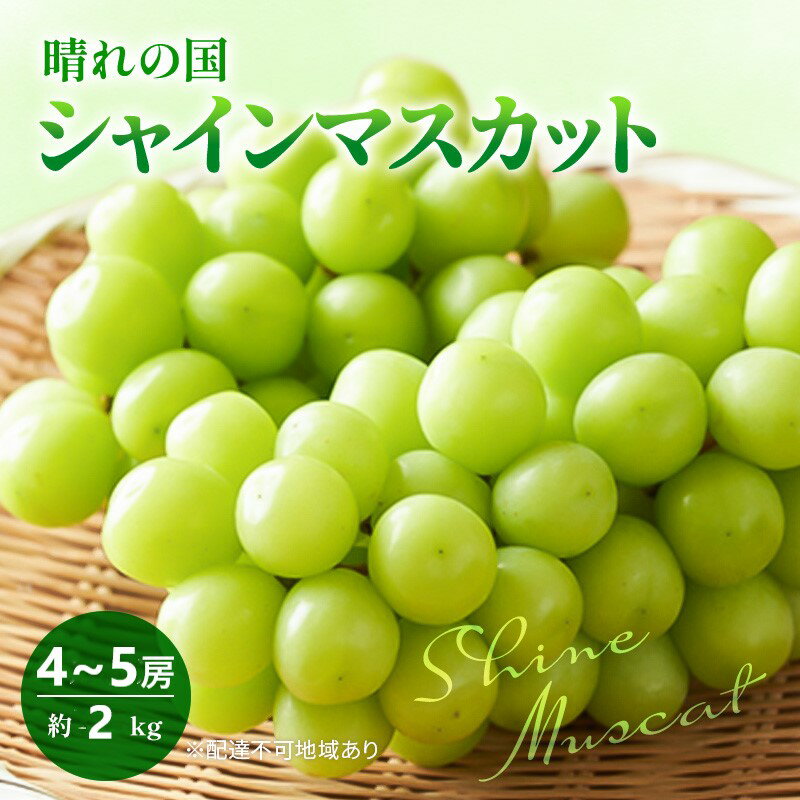 【ふるさと納税】早期受付 ぶどう 晴れの国 シャインマスカット 2kg (4～5房) 化粧箱入り 岡山県 高梁市 ブドウ 葡萄 果物 フルーツ 　お届け：2025年10月1日～2025年10月20日