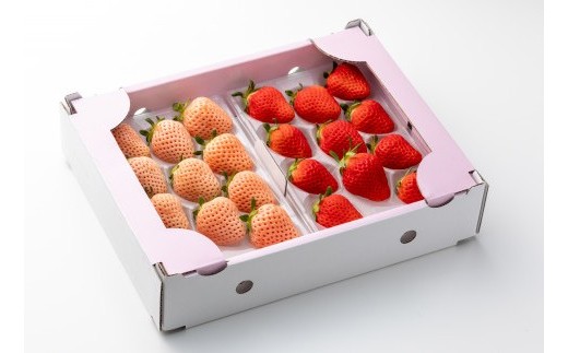 【２月】：さがほのか＆淡雪：220g×各２P