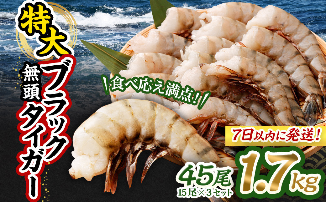 
            特大 ブラックタイガー 無頭えび 1.7kg前後（45尾 ）【入金確認後7日以内で発送】 ｜ 海老 えび エビ ブラックタイガー 海鮮 魚介 殻付き 冷凍 大阪府 阪南市
          