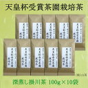 【ふるさと納税】新茶 受付あり お茶 『 天皇杯受賞茶園栽培茶2番茶仕上100g×10本 』〔お茶 緑茶 煎茶 茶葉 静岡 掛川茶 全国配送 山英 〕