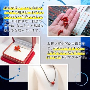 赤珊瑚チェーンピアス g0-015