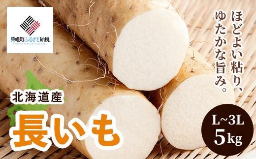 
                  [先行受付]「数量限定」長いも・5kg【配送不可地域：離島】11月中旬～順次発送 人気 おすすめ ランキング いも イモ 芋 長芋 長いも ながいも 野菜 とろろ 北海道 美幌町
                