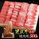 【ふるさと納税】赤身（焼き肉用）500g ブランド牛 牛肉 高級 人気 国産 楽天 寄付 返礼品 お歳暮 ギフト プレゼント お祝い 贈り物 ふるさと納税 近江 東近江 B-E16 いろは精肉店