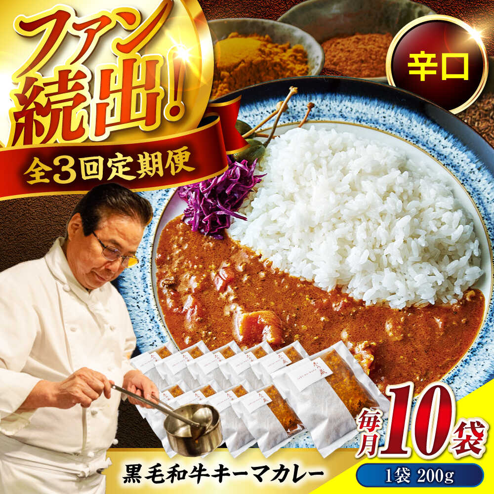 【ふるさと納税】【全3回定期便】秘密の黒毛和牛キーマカレー10袋 おすすめ 人気 レトルト カレーライス 大容量 セット 詰め合わせ キーマ 簡単調理 本格的 スパイス 中辛 ストック お取り寄せ グルメ ご当地 95000円 広島県福山市/株式会社グリル壱乃藏[BACI010]