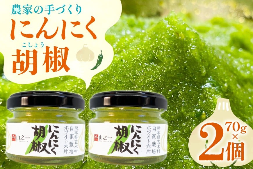
            こしょう にんにく農家の手づくり にんにく胡椒 70g 2個 セット [山之一 熊本県 五木村 51120358] にんにく 胡椒 青唐辛子 ペースト 小分け
          