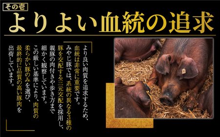 横浜中華街を飛び出した、しその香り漂う肉汁たっぷり『みやじ豚しそ餃子ぎょうざ』100個入り