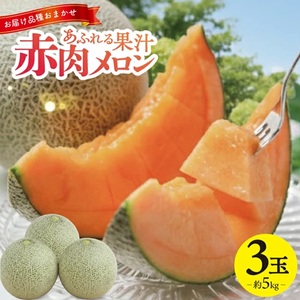 SA2883　庄内赤肉メロン　約5kg(3玉入)