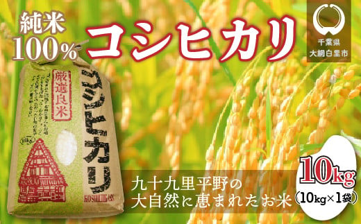 【令和6年産】千葉県 大網白里市産 コシヒカリ 10kg（10kg×1袋） お米 10kg 千葉県産 大網白里市 コシヒカリ 米 精米 こめ 送料無料