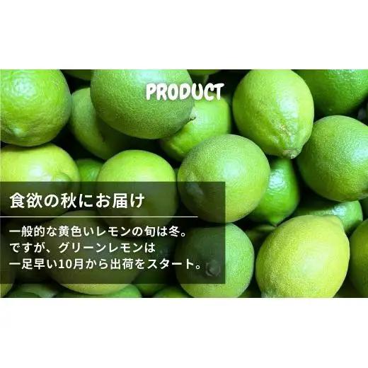 露地 グリーンレモン 約3kg 【2026年10月中旬以降発送】