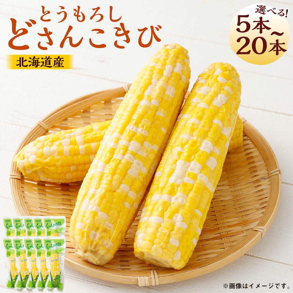 【ふるさと納税】北海道産 とうもろこし 5本 どさんこきび 野菜 やさい とうきび トウモロコシ レトルト 食べ物 食品 甘い 真空包装 加熱調理済 常温 夏休み 焼きとうもろこし 非常食 BBQ 北海道 豊浦町 送料無料