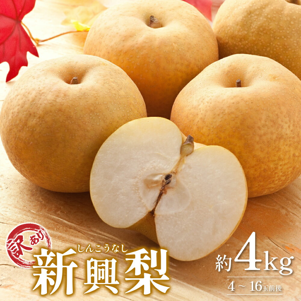 【ふるさと納税】【2026・先行予約】訳あり 新興梨（しんこうなし）4kg｜鳥取 果物 フルーツ なし 梨 2026年収穫後【41043】