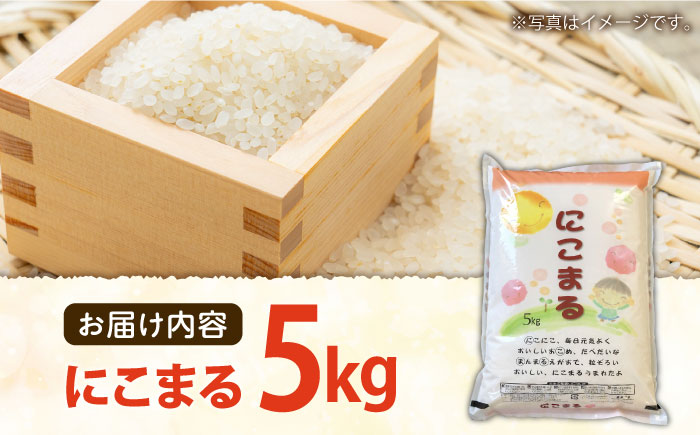 長崎県産 精米 にこまる 5kg / 米 南島原市 / 大松屋商店 [SDR001]