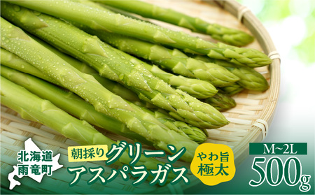 《2026年発送》グリーンアスパラガス 500g | 北海道産 やま旨 極太