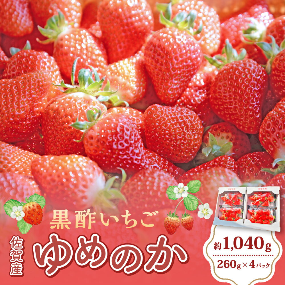【ふるさと納税】NB-22 黒酢いちご(ゆめのか)　レギュラーパック　260g×4パック