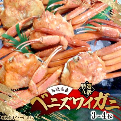 ふるさと納税 智頭町 鳥取境港産　特選A級ベニズワイガニ詰め合わせ(3〜4枚)