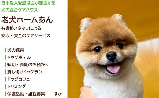 老犬ホームあんの施設利用券（3,000円分）をお届けします。