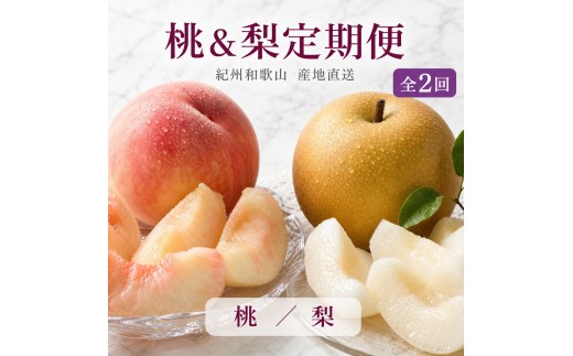 【全2回 定期便】 紀州和歌山産旬のフルーツセット（8月：桃約1.8kg・9月：梨約2kg） ［UT139］