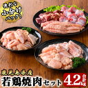 【ふるさと納税】若鶏焼肉4.2kgセットモモ切身1.5kg・肝500g・砂肝500g・小肉500g・チキンリブ600g・肩肉600g 国産 鹿児島県産 鶏肉 鶏 鶏モモ もも肉 焼肉 唐揚げ セット 小分け 真空 冷凍 冷凍保存【株式会社 TRINITY】