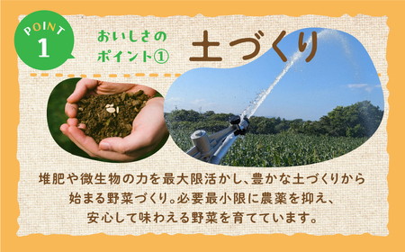 《先行予約》白カリフローレ　4個