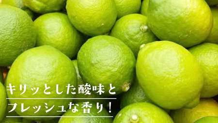  【2026年10月発送開始】 大崎上島産 有機グリーンレモン 1kg （目安8〜12個程度）