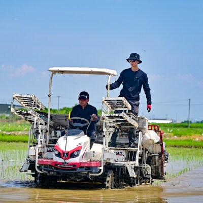 【先行予約】令和7年産　岐阜県産ハツシモ(精米)5kg【配送不可地域：離島】【1540832】