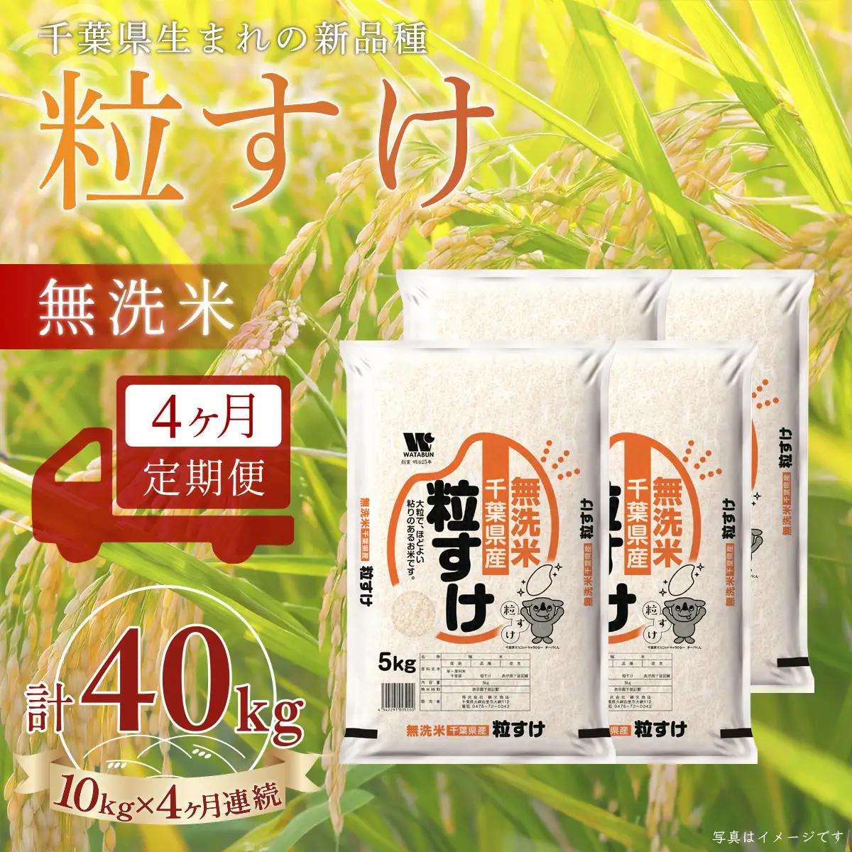 ＜4か月定期便＞ 千葉県産「粒すけ」無洗米 10kg×4か月連続 計40kg A098