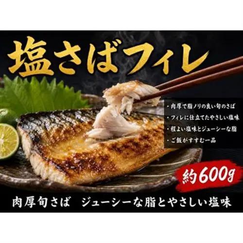 【ご家庭用訳あり】人気の塩さばフィレ＆紅鮭切身セット計1kg【配送不可地域：離島】【1495495】