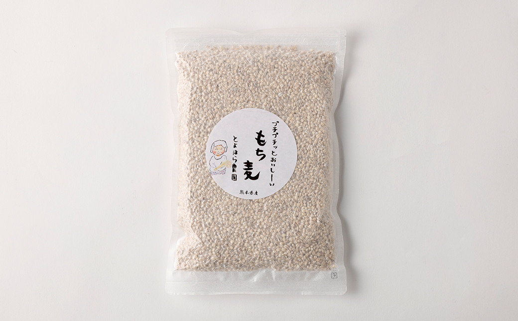 ヘルシー五穀米ともち丸麦セット