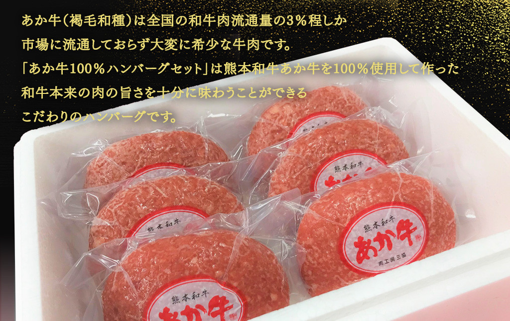 あか牛100％ハンバーグセット (あか牛ハンバーグ120g×6個、あか牛のたれ200ml付き)