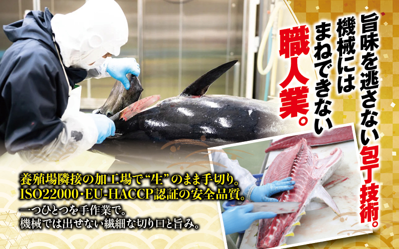 本マグロ 大トロ&中トロ＆赤身セット 500g（養殖)  【配達日指定不可】濃厚な赤身と高級部位トロの鮪好きにはたまらないセット 【nks110D】