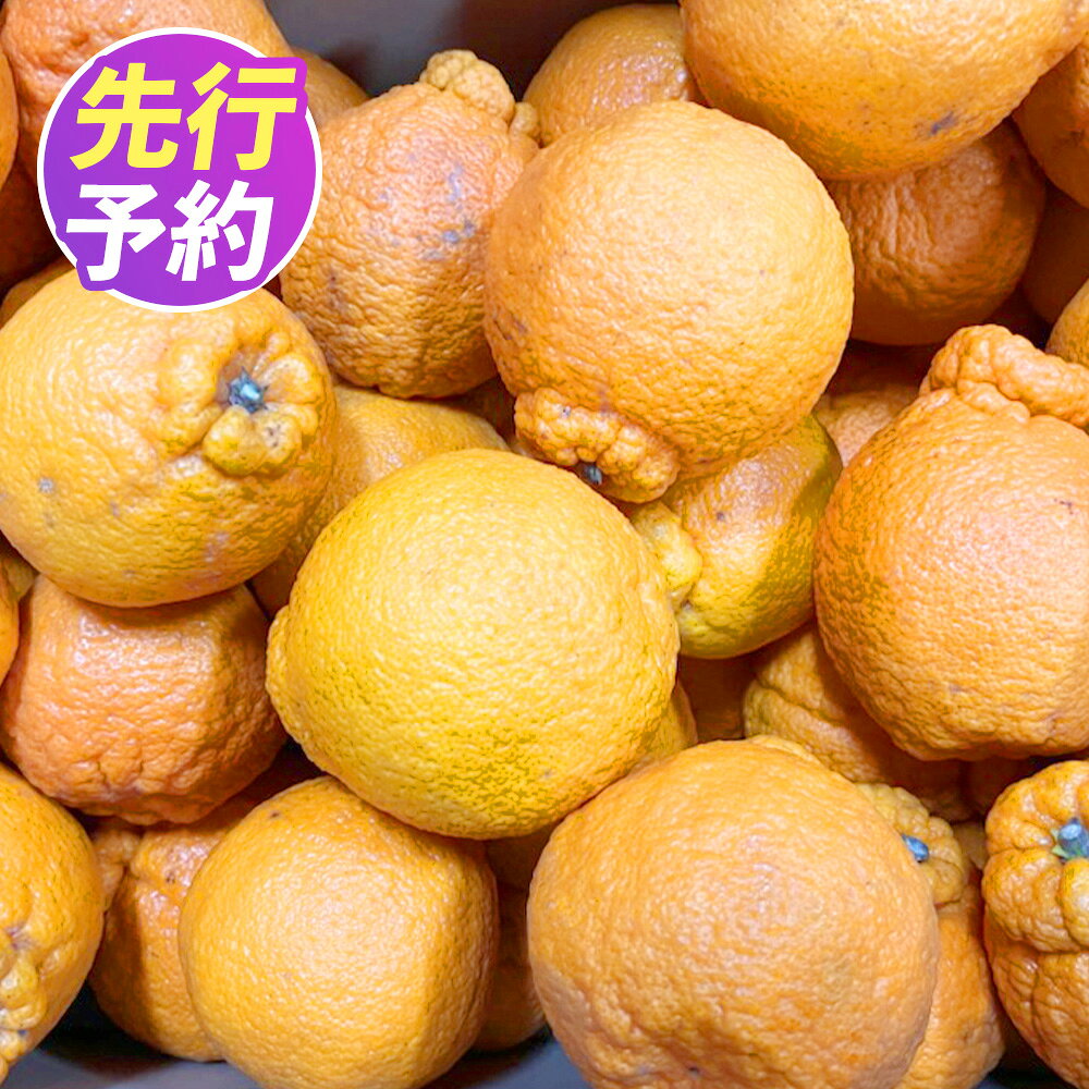 【ふるさと納税】＜ R8年熊本地震復興支援 ＞ 【規格外品】 不知火 ご家庭用 約4kg サイズ不選別 しらぬい 蜜柑 柑橘 果実 フルーツ くだもの 果物 熊本県産 国産 常温 先行予約 送料無料【2027年1月下旬～3月下旬迄発送迄予定】
