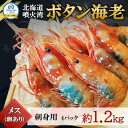 【ふるさと納税】【数量限定】ボタン海老 大サイズ 約1.2kg(約300g×4) 北海道八雲町産 卵あり 刺身用【配送不可地域：離島】【1553379】