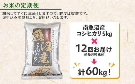 【令和7年産新米】【定期便】新潟県 南魚沼産 コシヒカリ お米 5kg×計12回 精米済み 年間 毎月発送 （お米の美味しい炊き方ガイド付き）【2025年10月中旬より順次発送予定】