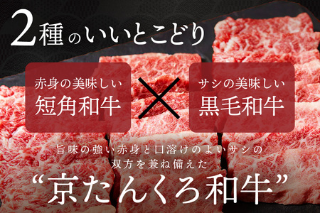 和牛焼肉／＜赤身の旨味＞京たんくろ和牛の焼肉 京丹後市 焼肉 500ｇ（2～3人前） 焼肉用肉・国産焼肉・赤身焼肉・和牛焼肉セット・牛肉 焼肉用・サシ 京たんくろ和牛 国産牛肉 肉牛 お肉・赤身肉・赤