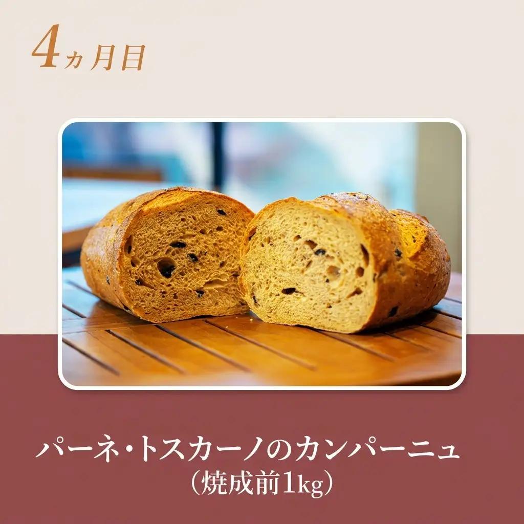 ハード系パンセット ライ麦パン カンパーニュ【 4種】【焼成前計3.9kg】【冷凍】【定期便 4ヶ月】