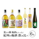 【ふるさと納税】紀州の梅酒　飲み比べ6本セット