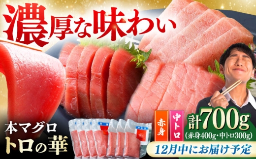 【12月中にお届け】対馬産 本マグロ 700g（赤身400g、中トロ300g） ≪対馬市≫【桐谷商店】[WAQ047-12]