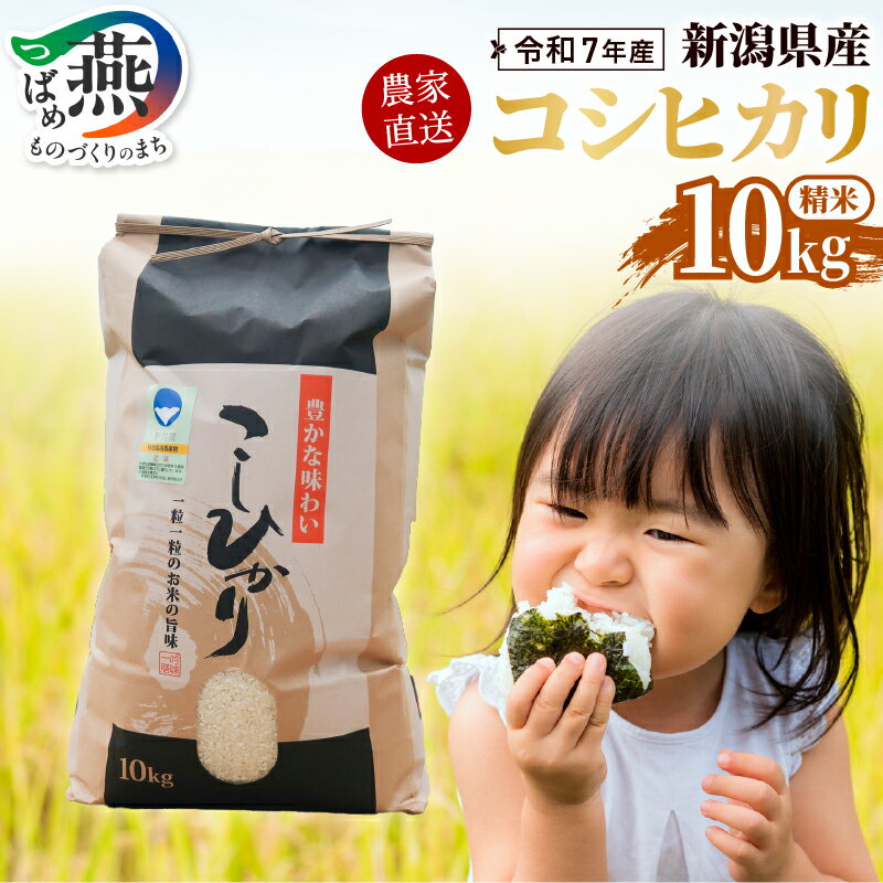 【ふるさと納税】【令和7年産】 コシヒカリ 精米 10kg 南波農園の特別なお米 新潟県燕市産 【 新米 米 白米 お米 ごはん ご飯 白飯 ライス 数量限定 南波農園 美味しい米を作る農家の会 新潟県 燕三条 燕市 】 [10002925]