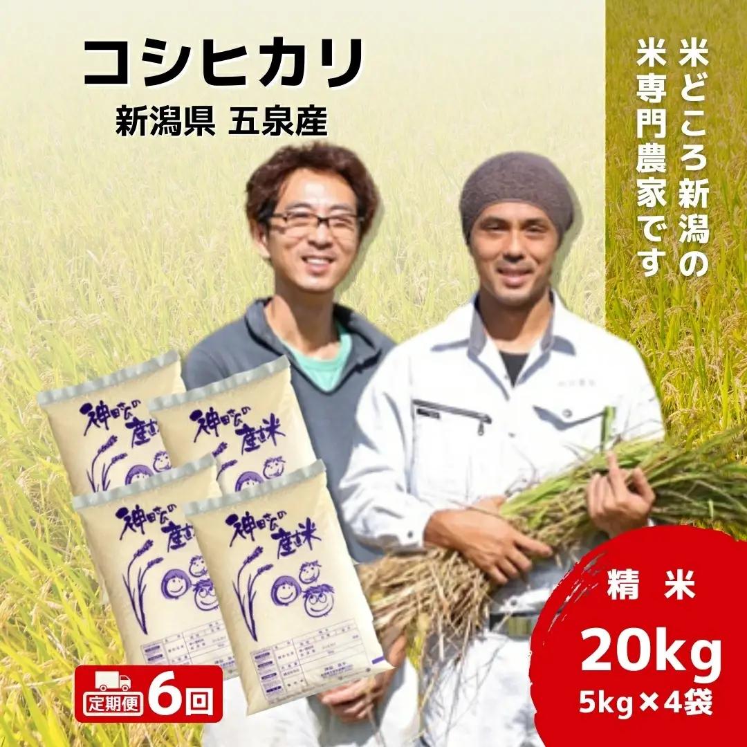 【定期便6回】コシヒカリ 20kg(5kg×4)×6回 わくわく農場 こしひかり | 新潟県 五泉市 コシヒカリ