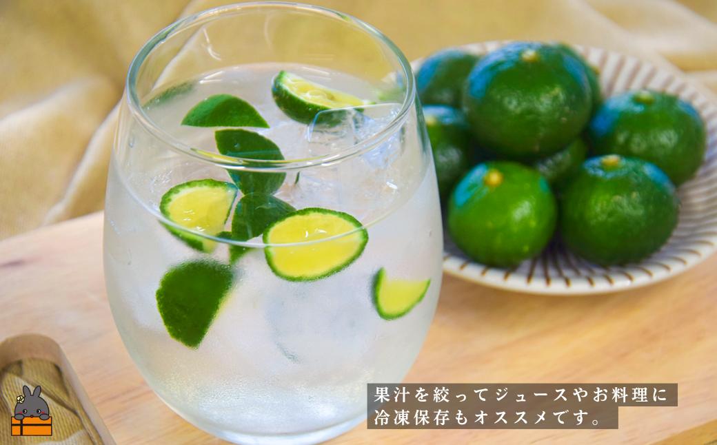 果汁を絞ってジュースなどにもオススメ！爽やかな酸味がとっても美味しいですよ。