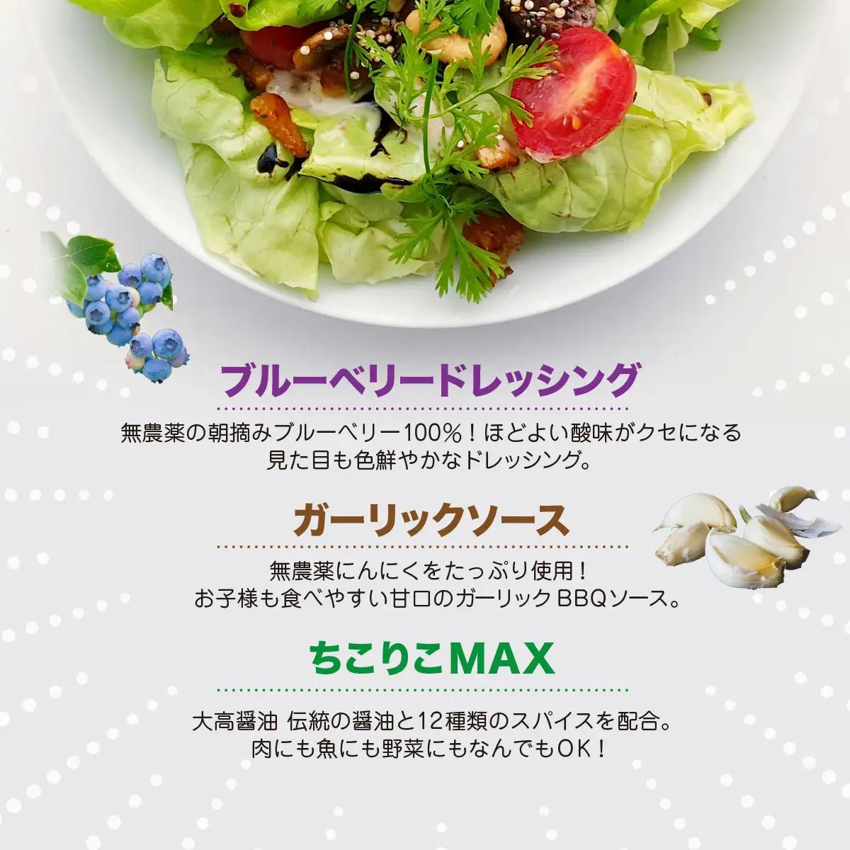 有野実苑オリジナル調味料詰め合わせセット SMN006