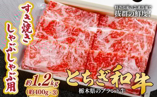とちぎ和牛のすき焼き・しゃぶしゃぶ用 1.2kg（400g×3）【栃木県共通返礼品】 |  牛肉 肉 お肉 すき焼き しゃぶしゃぶ ロース リブロース 肩ロース 産地直送 国産 国産牛 和牛 赤身 霜降り 希少 旨味 旨み 熟成 急速冷凍 コトラミートカルチャ 栃木県 茂木町
